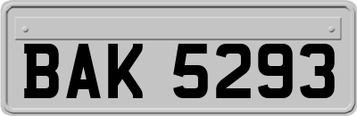 BAK5293