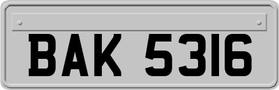 BAK5316