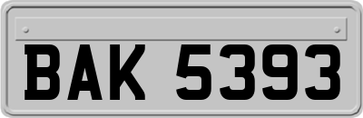 BAK5393