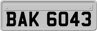 BAK6043