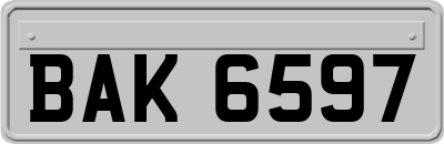 BAK6597