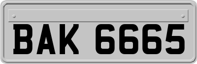 BAK6665