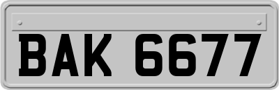 BAK6677