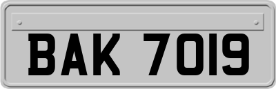 BAK7019