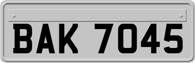 BAK7045