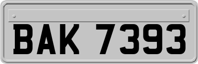 BAK7393