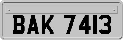BAK7413