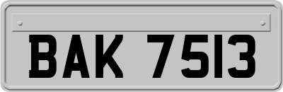 BAK7513