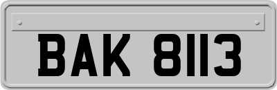 BAK8113