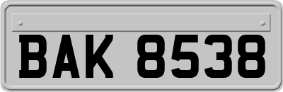 BAK8538