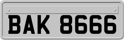 BAK8666