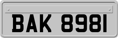 BAK8981