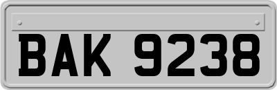 BAK9238