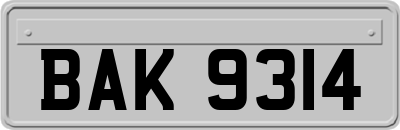BAK9314