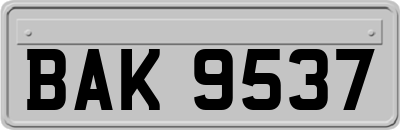 BAK9537