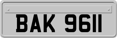 BAK9611