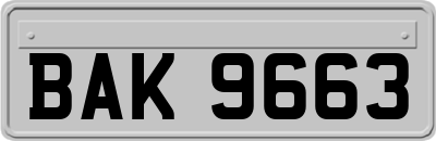BAK9663