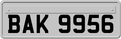 BAK9956