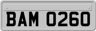 BAM0260