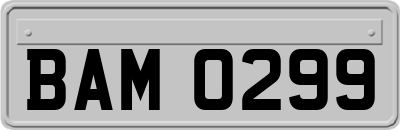 BAM0299