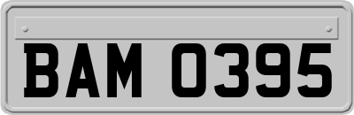 BAM0395