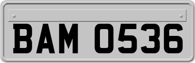 BAM0536