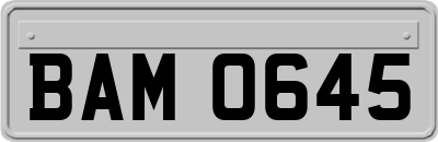 BAM0645