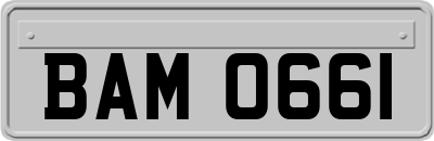 BAM0661