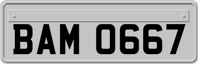 BAM0667