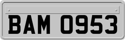 BAM0953