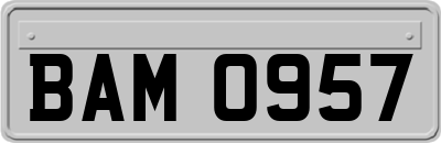 BAM0957