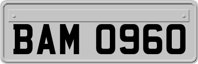 BAM0960