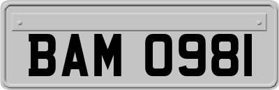 BAM0981