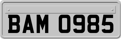 BAM0985