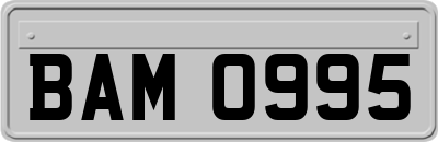 BAM0995