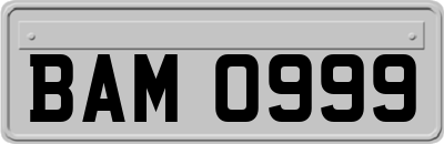BAM0999
