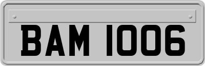 BAM1006