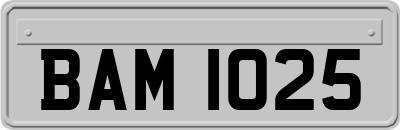 BAM1025