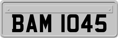 BAM1045