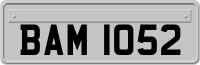 BAM1052