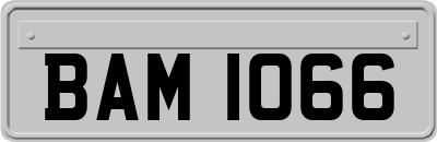 BAM1066