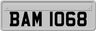 BAM1068