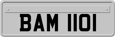 BAM1101