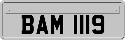 BAM1119