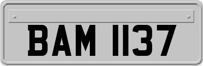 BAM1137