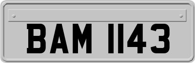 BAM1143