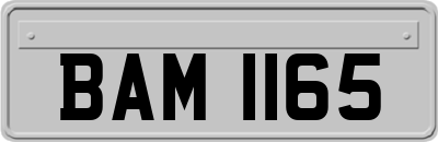 BAM1165