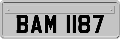 BAM1187