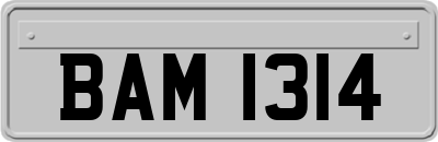 BAM1314