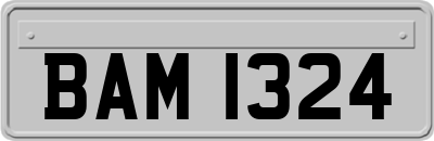 BAM1324
